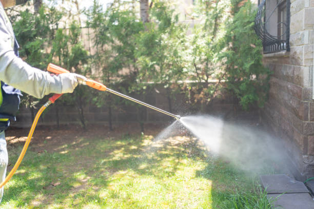 Best Wildlife Control Services  in Hayfork, CA